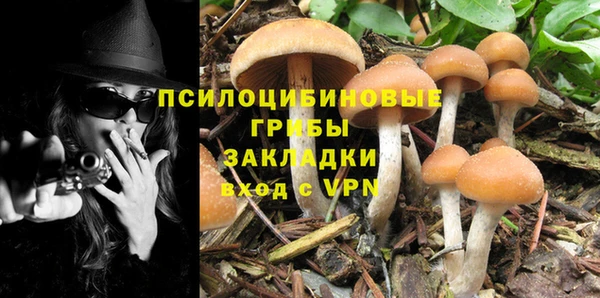 jwh Гусев