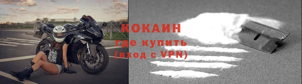 эйфоретик Гусь-Хрустальный