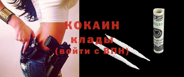 дмт Дмитриев