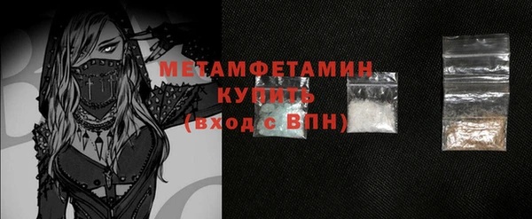 эйфоретик Гусь-Хрустальный