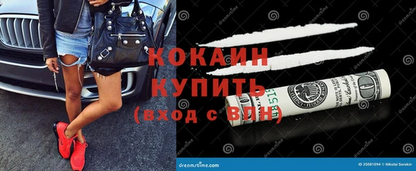 эйфоретик Гусь-Хрустальный