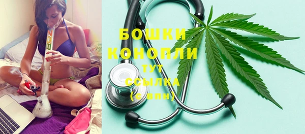 дмт Дмитриев