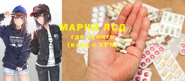 эйфоретик Гусь-Хрустальный
