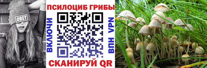 Галлюциногенные грибы Cubensis хочу наркоту Поронайск